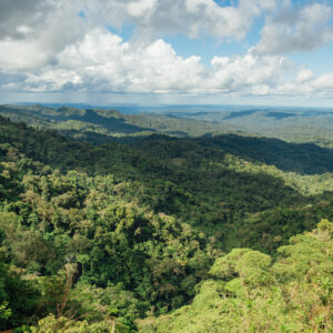 Paisaje de selva amazónica en Ecuador