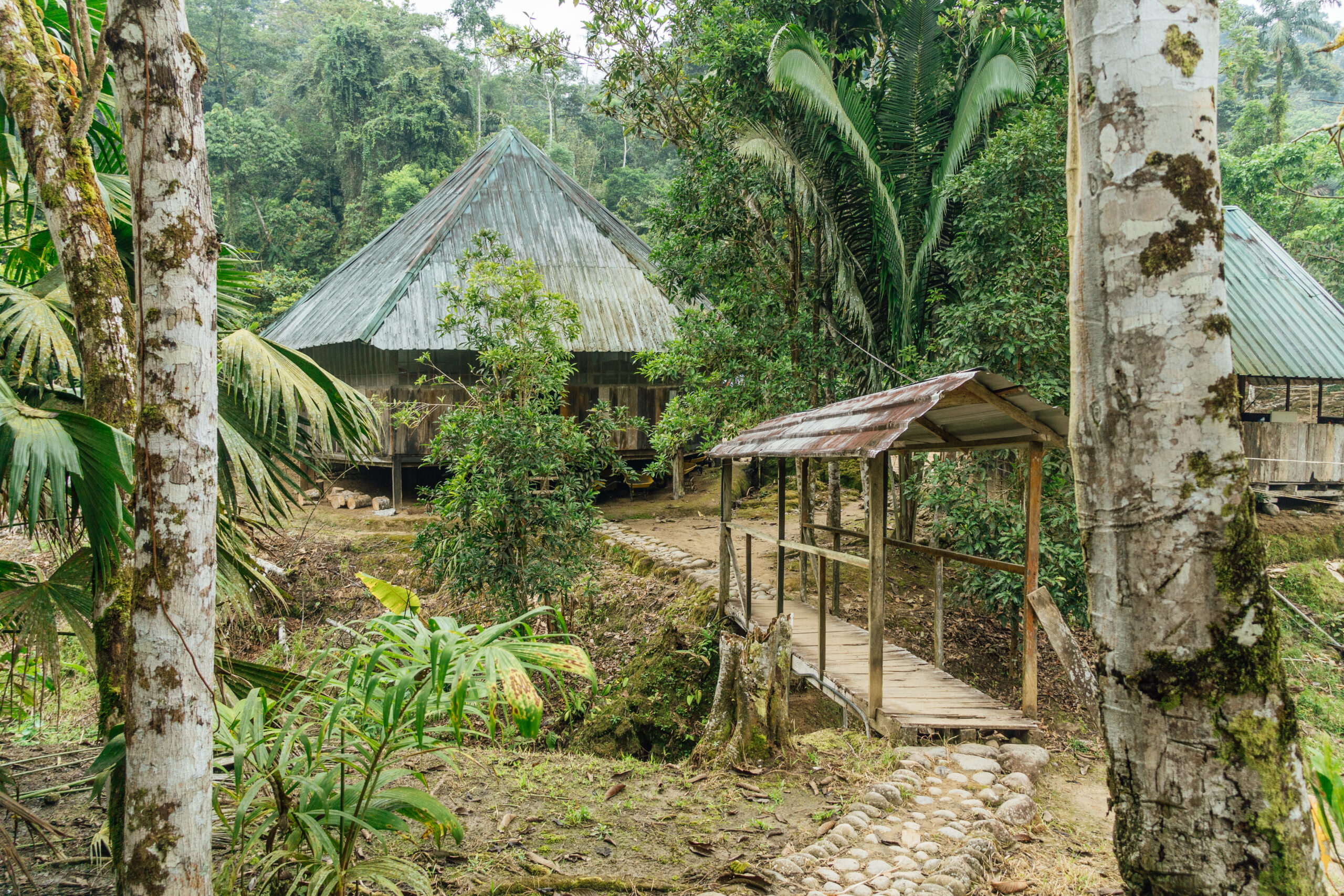 Cabañas en la selva del Amazonas