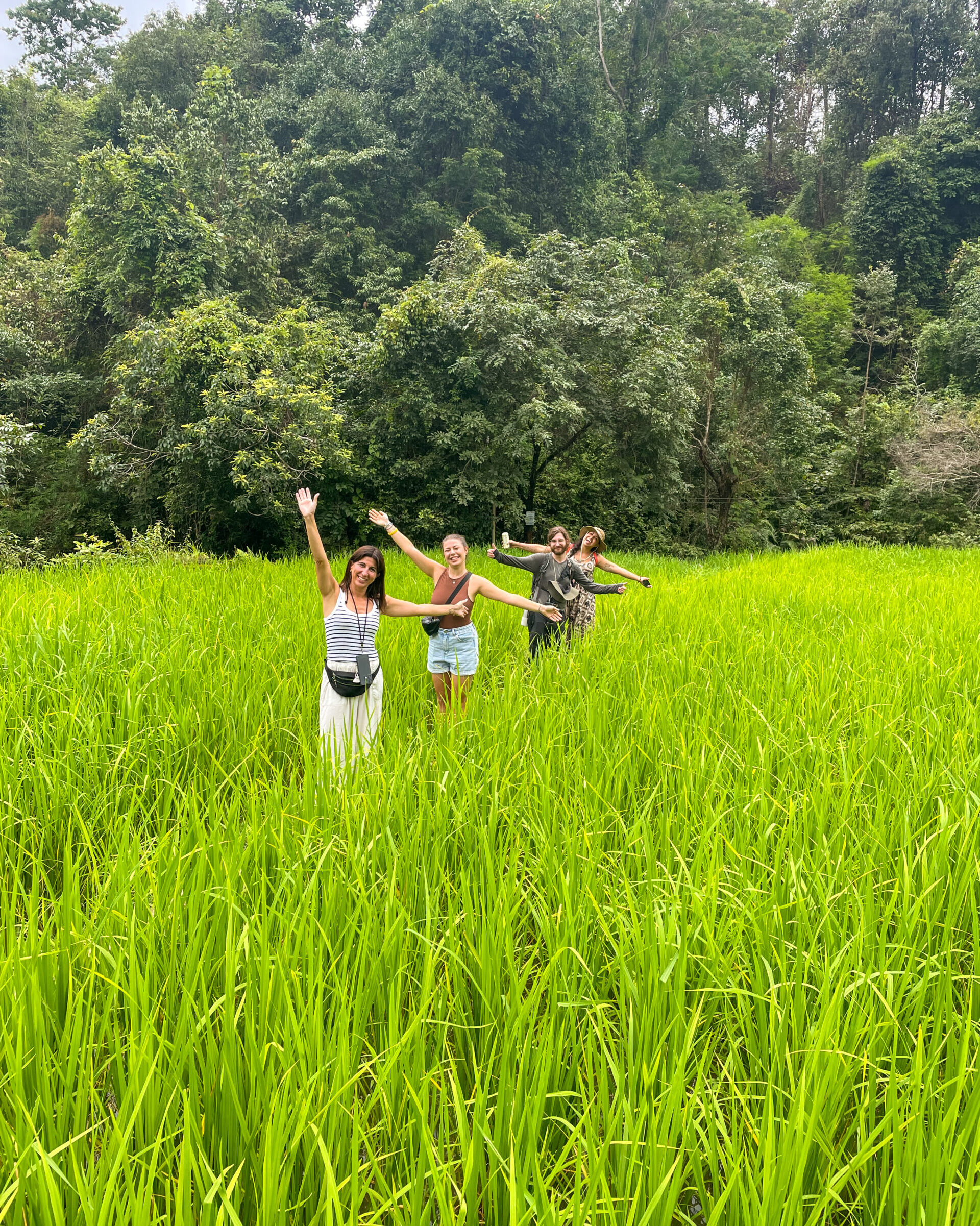 Chiang Mai 5