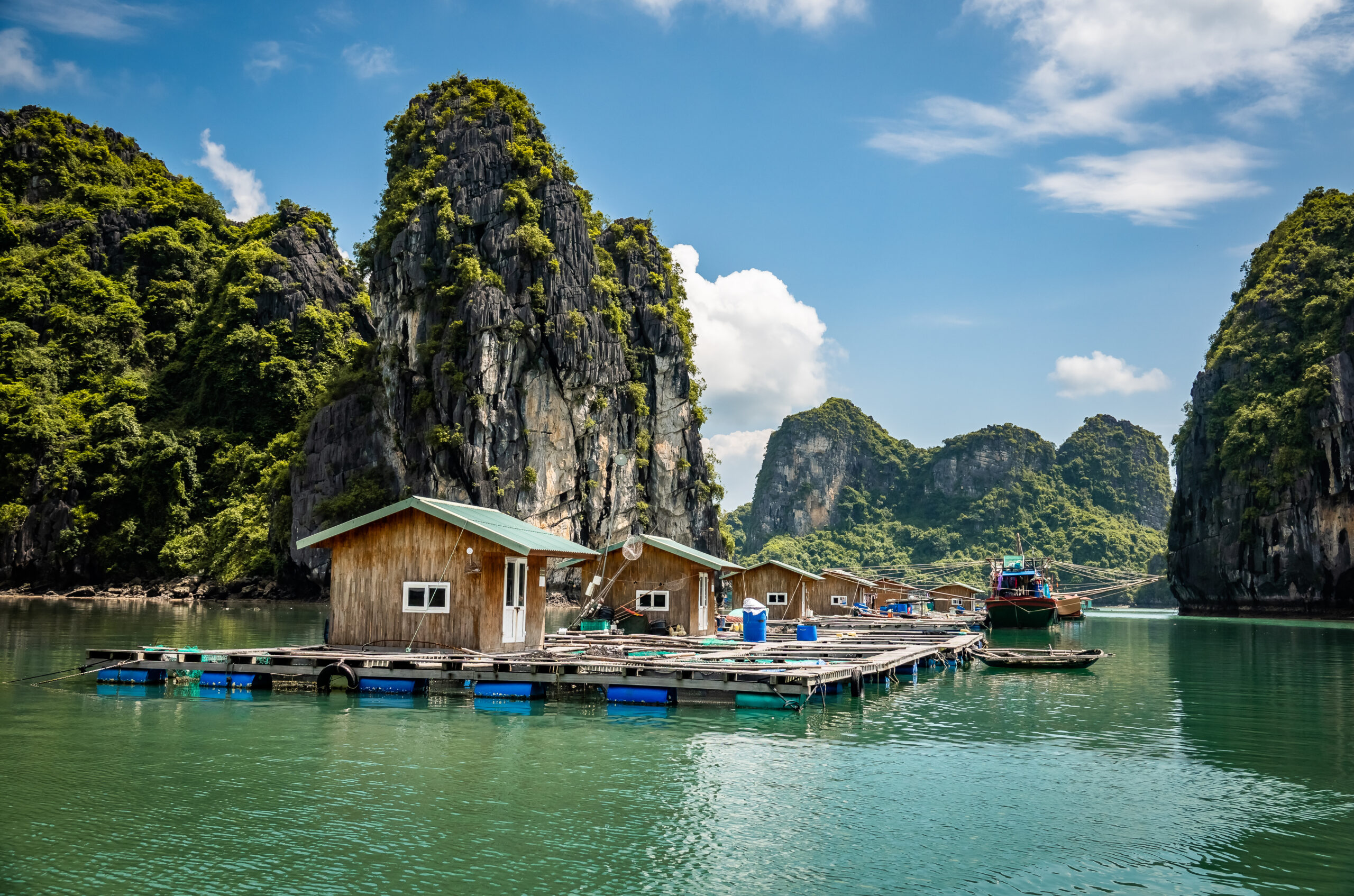 Vung Vieng floating fishing village at Bai tu Long Bai / Halong Bay, Vietnam.
