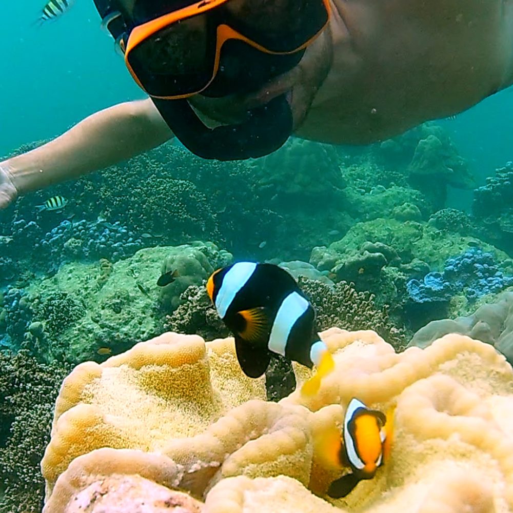 Snorkel en las Islas Surin