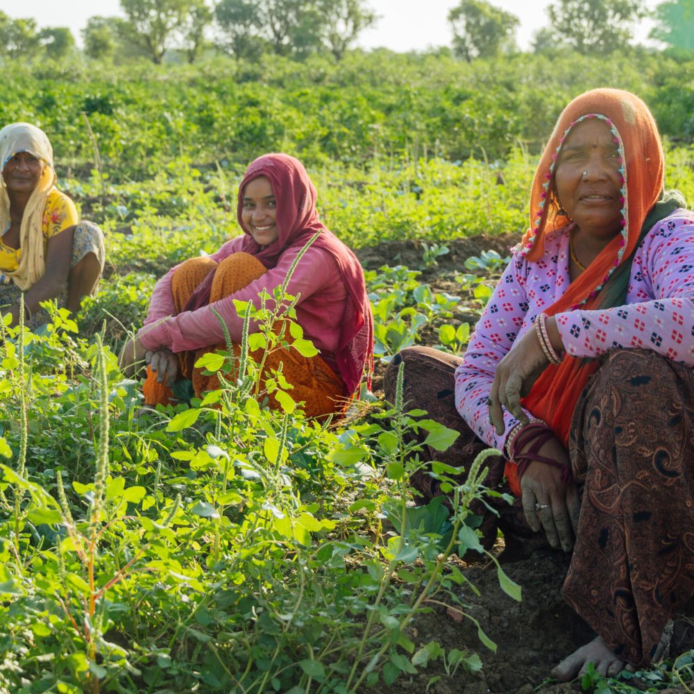Mujeres indias trabajando, India rural
